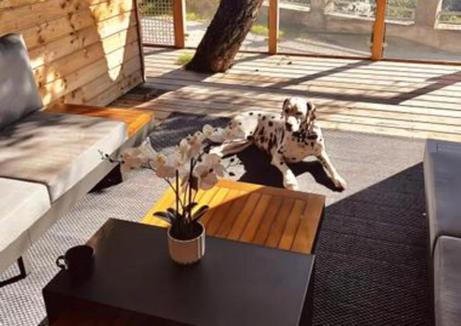 Sunset Lodge Saint-Raphael